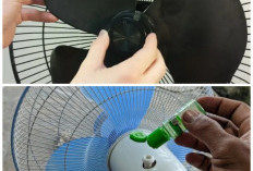 Anti Ribet! Tips Membersihkan Kipas Angin Tanpa Perlu Dibongkar