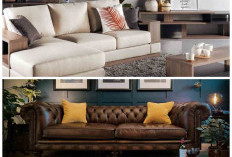 Pilihan Sofa Ruang Tamu Estetik yang Cocok untuk Semua Gaya Hunian