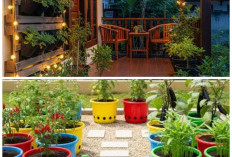 Ide Menata Teras Rumah Mungil dengan Taman Buah Mini, Solusi Berkebun di Lahan Terbatas