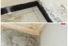 Dinding Rembes Tak Perlu Dibongkar! Ini 5 Cara Mudah Mengatasinya dengan Hasil Maksimal