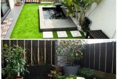 Lahan Sempit Bukan Halangan! Rahasia Desain Taman Depan Rumah Kecil yang Rapi dan Bikin Hunian Auto Estetik