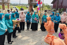 Atung Bungsu Dinilai Tim TP PKK Sumsel