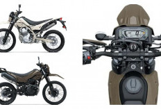 Kawasaki KLX230 DF: Motor Trail Penantang Baru Siap Diajak Blusukan di Medan Ekstrem!