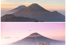 Pesona Mistis dan Keindahan Alam Gunung Sindoro yang Memikat Hati Pendaki!