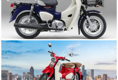 Harga Terbaru Honda Super Cub C125 Juni 2026, Motor Retro Premium Masih Jadi Incaran