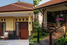 Model Teras Ramah Lansia untuk Rumah Tinggal, Aman Tanpa Mengurangi Estetika!