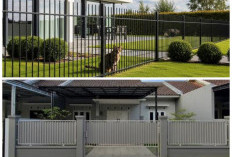 Anabul Aman, Hati Tenang! 9 Inovasi Desain Pagar Rumah Anti Kabur 2026 yang Menggabungkan Kekuatan dan Estetik