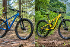  REVIEW LENGKAP SEPEDA TRAIL MTB, PILIHAN SEPEDA UNTUK JALUR MENANTANG!