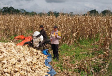 Polres Pagar Alam Dukung Program Ketahanan Pangan Presiden RI