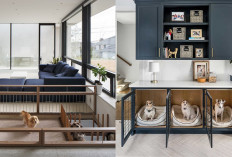 Desain Rumah Ramah Hewan Peliharaan: Rapi, Nyaman, dan Aman untuk Si Kesayangan!