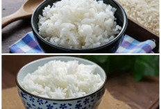 Nasi Sisa Semalam Justru Sehat? Ini Fakta Menariknya untuk Penderita Diabetes
