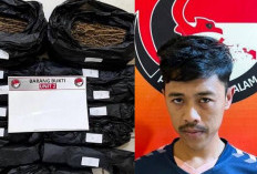 Pengedar Ganja Digerebek Dikostan, Amankan 2,3 Kg Ganja Siap Edar