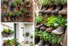 Kreatif & Ramah Lingkungan! 12 Ide Kebun Sayur dari Sepatu Bekas untuk Teras Minimalis!