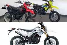Perbedaan KLX150SM SE dan KLX150SM 2026, Fitur Tambahan Ini Bikin Selisih Rp2,4 Juta Terasa Worth It