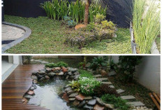 Ide Taman Depan Rumah Minimalis: Sederhana, Asri, dan Sedap Dipandang