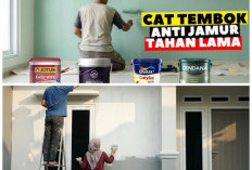 Tak Takut Lembap! 5 Rekomendasi Cat Tembok Anti Air yang Awet dan Anti Jamur