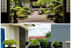 Inspirasi Taman Jepang Minimalis: 10 Desain Simpel yang Membuat Rumah Modern Terasa Lebih Damai