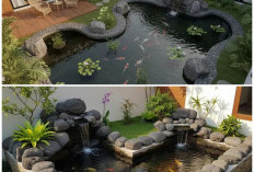 Panduan Lengkap Menata Kolam Ikan Batu Alam yang Estetis dan Low Maintenance