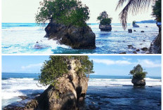 Batu Atola Nias: Fenomena Langka yang Menyimpan Banyak Pertanyaan