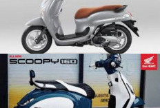 Menarik, Kontemporer, dan Trendy! Lihat Semua Keunggulan Honda Scoopy Stylish Grey 2026