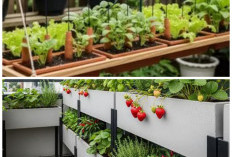 Tampil Rapi dan Modern, Ini 10 Ide Kebun Mini Menggunakan Planter Box Beto