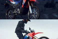 Hanya 99,3 Juta! Honda CRF250 Rally Pilihan Paling Siap Pakai untuk Reli dan Adventure Touring