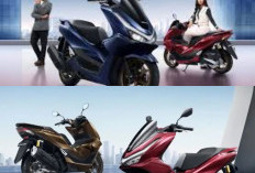Makin Bergaya, Honda PCX160 Resmi Dikenalkan dengan Variasi Warna Baru