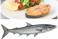 Kaya Gizi dan Bermanfaat! Ini Fakta Nutrisi Ikan Tenggiri yang Jarang Diketahui