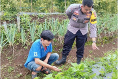 Monitoring Pekarangan Bergizi, Polres Pagar Alam Dukung Ketahanan Pangan