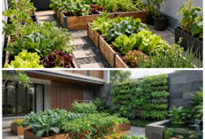 Inspirasi Kebun Sayur Rooftop Garden: Hemat Lahan, Tetap Estetik, dan Panen Langsung dari Atap Rumah