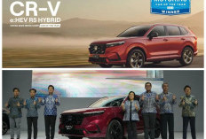 Resmi di IIMS 2026, Honda CR-V e:HEV Non-RS Hadir sebagai Pilihan Hybrid Lebih Terjangkau