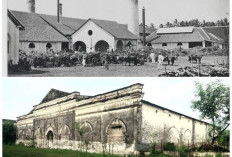 Fakta atau Mitos? Mengungkap Sejarah Perumahan Ketintang Surabaya yang Konon Bekas Pabrik Gula