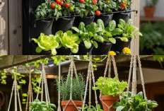 11 Desain Kebun Kecil untuk Keluarga Sibuk, Tetap Efektif di Area yang Terbatas