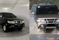 Masih Diburu Sampai Sekarang! Simak Kelebihan dan Kekurangan Isuzu Panther