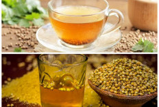 Air Ketumbar Rebus: Minuman Herbal Sederhana dengan Khasiat Luar Biasa