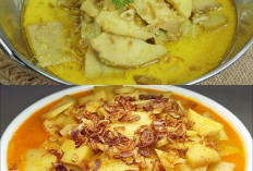 7 Manfaat Umbut Kelapa bagi Kesehatan yang Menarik untuk Diketahui