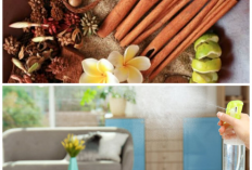 Rahasia Aroma Mewah di Ruang Tamu, Ternyata Bisa Didapat dari Bahan Dapur Sehari-hari!