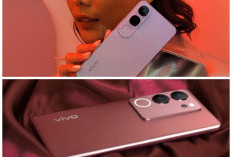 Masih Bingung Pilih HP di 2026? Vivo V3 Layak Masuk Daftar Rekomendasi