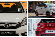 Honda Brio 2026 Siap Menggebrak dengan Desain Modern dan Hemat BBM!