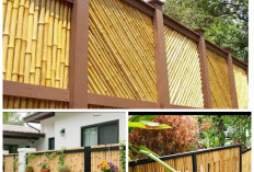 Pagar Bambu Minimalis Kekinian: 6 Inspirasi Murah yang Bikin Rumah Desa Tampak Estetik & Instagramable!