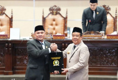 DPRD Sumsel Bentuk Pansus Optimalisasi Pendapatan Daerah