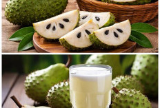 Segar dan Menyehatkan, Ini Manfaat Buah Sirsak untuk Tubuh