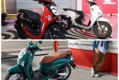 Resmi Naik! Harga Honda Scoopy 2026 Tembus Rp 23 Juta, Masihkah Layak Jadi Skutik TerlarisMemasuki bulan Febru