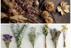 Percantik Meja Tamu dengan 5 DIY Bunga Kering Estetik, Cantik dan Tahan Lama!