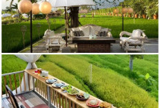 Inspirasi 10 Cafe Sawah Viral 2026: Konsep Kekinian yang Menyatu dengan Keindahan Alam