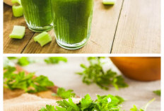 Baru tahu!6 Manfaat Daun Seledri untuk Kesehatan serta Cara Mengolahnya