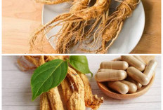 Rahasia Herbal Alami: 6 Khasiat Daun Ginseng yang Jarang Diketahui untuk Menjaga Kesehatan Tubuh!