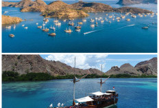 Jelajahi Pesona Labuan Bajo, Surga Wisata dengan Pink Beach dan Pulau Komodo yang Mendunia