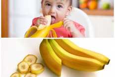 Pisang untuk Si Kecil: Rahasia Buah Sehat yang Bantu Pertumbuhan Optimal