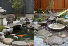 Desain Kolam Ikan Zen Garden untuk Rumah Kecil, Solusi Taman Minimalis yang Menenangkan!
